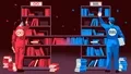 Descriptive Set Theory: A Niche of Mathematical Inquiry
